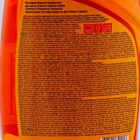 Стеклоочиститель 750мл CHIRTON курок АПЕЛЬСИН GD